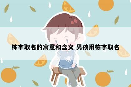 栋字取名的寓意和含义 男孩用栋字取名