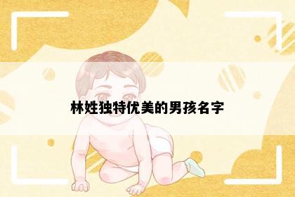 林姓独特优美的男孩名字